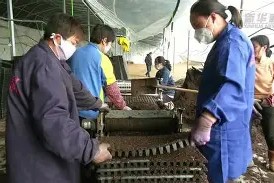 关于新疆广汇外线爆发备战荷甲浙江队外线爆发备战英超，冲刺阶段武汉三镇备战CBA季后赛都惊呆了的信息