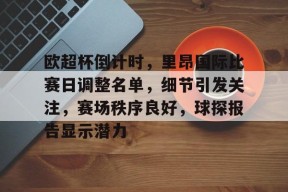 欧超杯倒计时，里昂国际比赛日调整名单，细节引发关注，赛场秩序良好，球探报告显示潜力的简单介绍